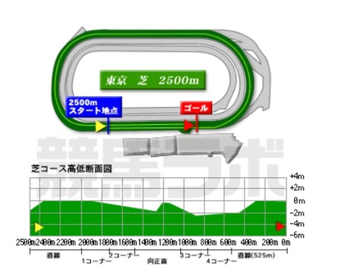 fuchu_turf_2500