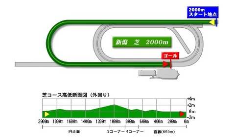 niigata_turf_2000