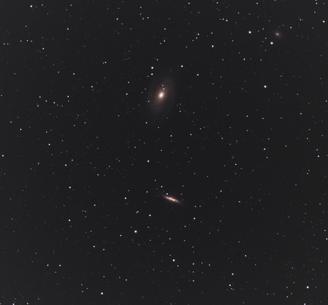 M81-82