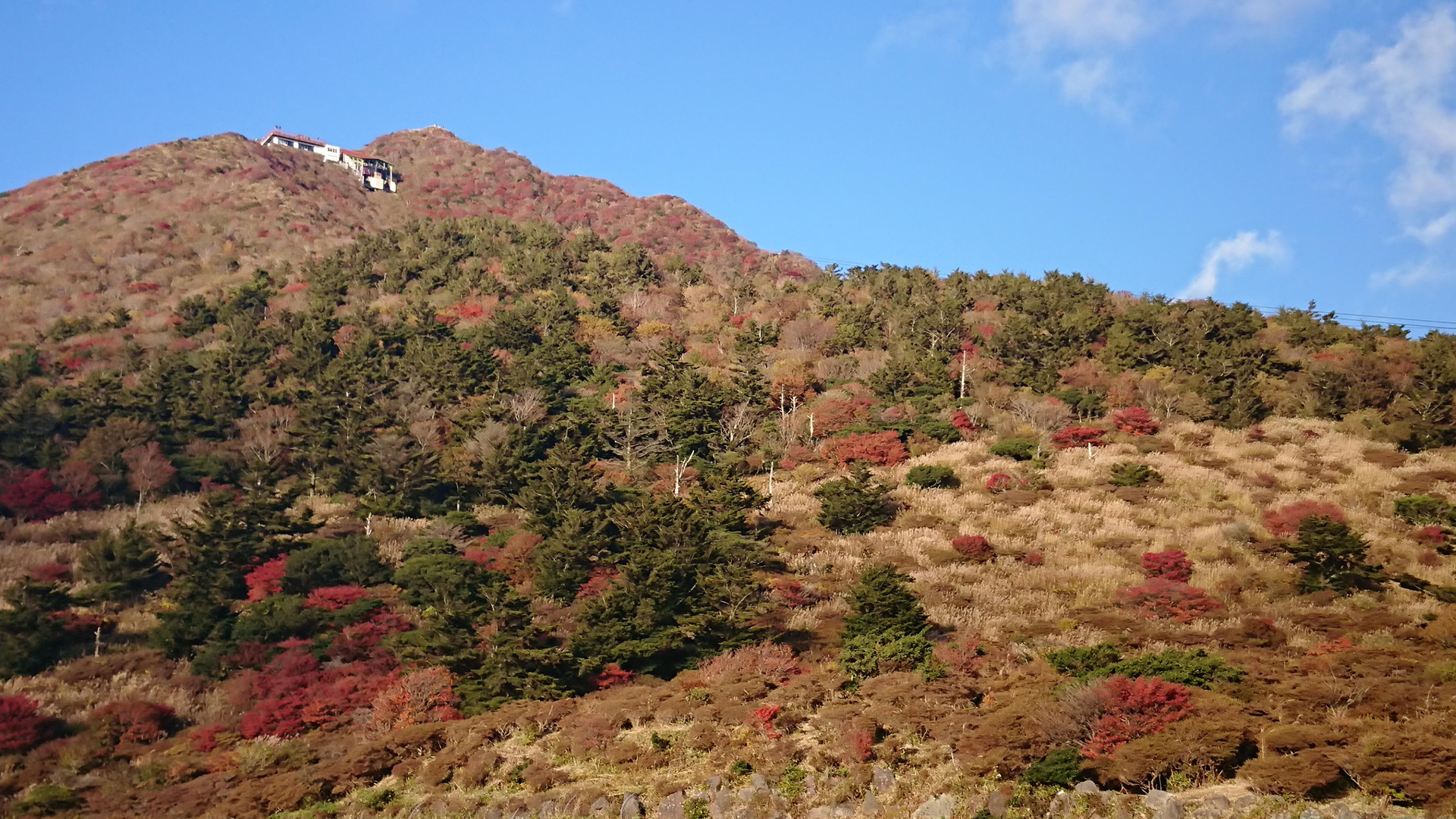 雲仙 仁田峠 紅葉を見に雲仙ドライブ ウィッシュのなんでも探偵団