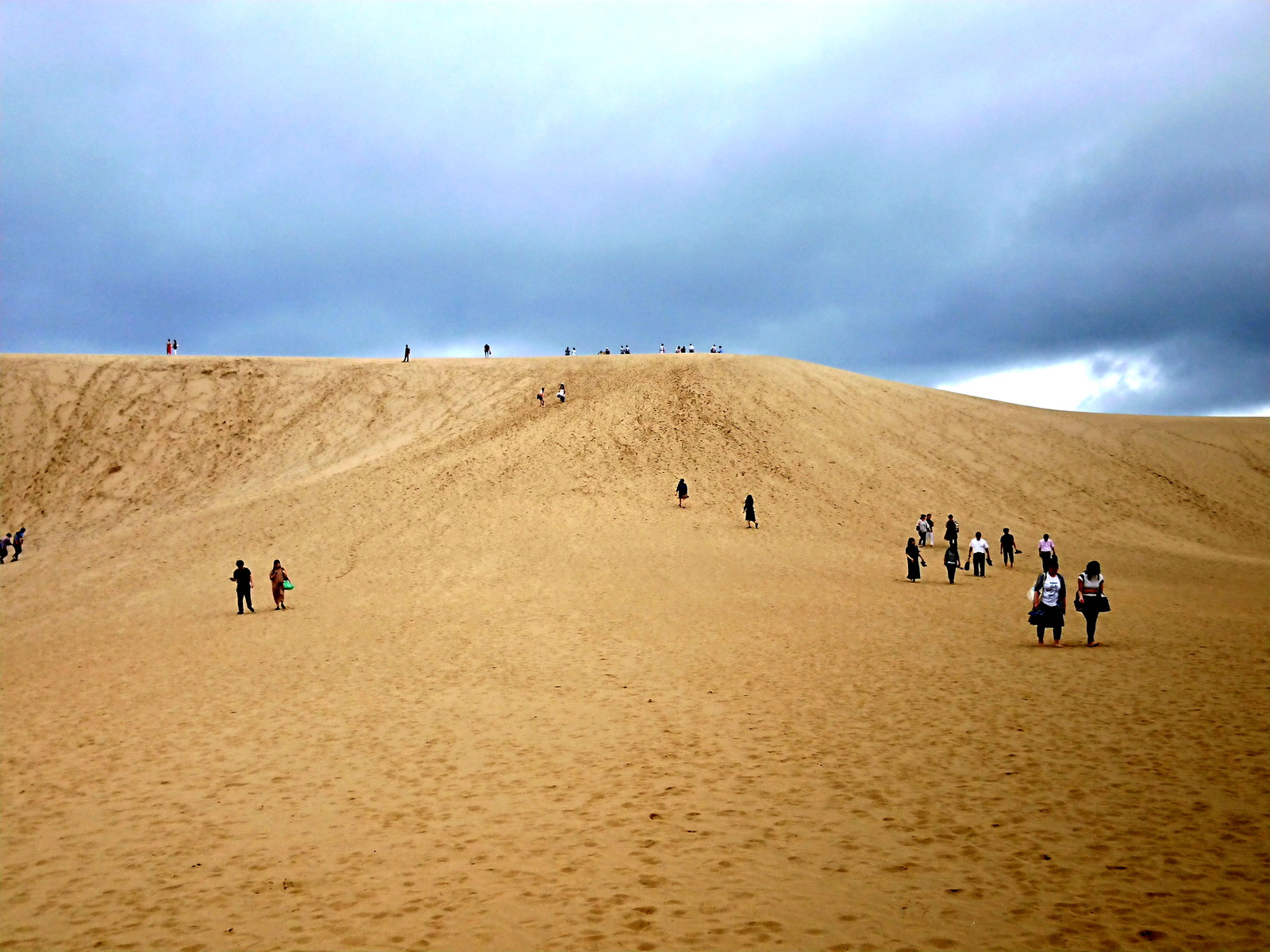 鳥取砂丘 砂が動く 生きてる砂丘が見られる 鳥取旅行 ウィッシュのなんでも探偵団