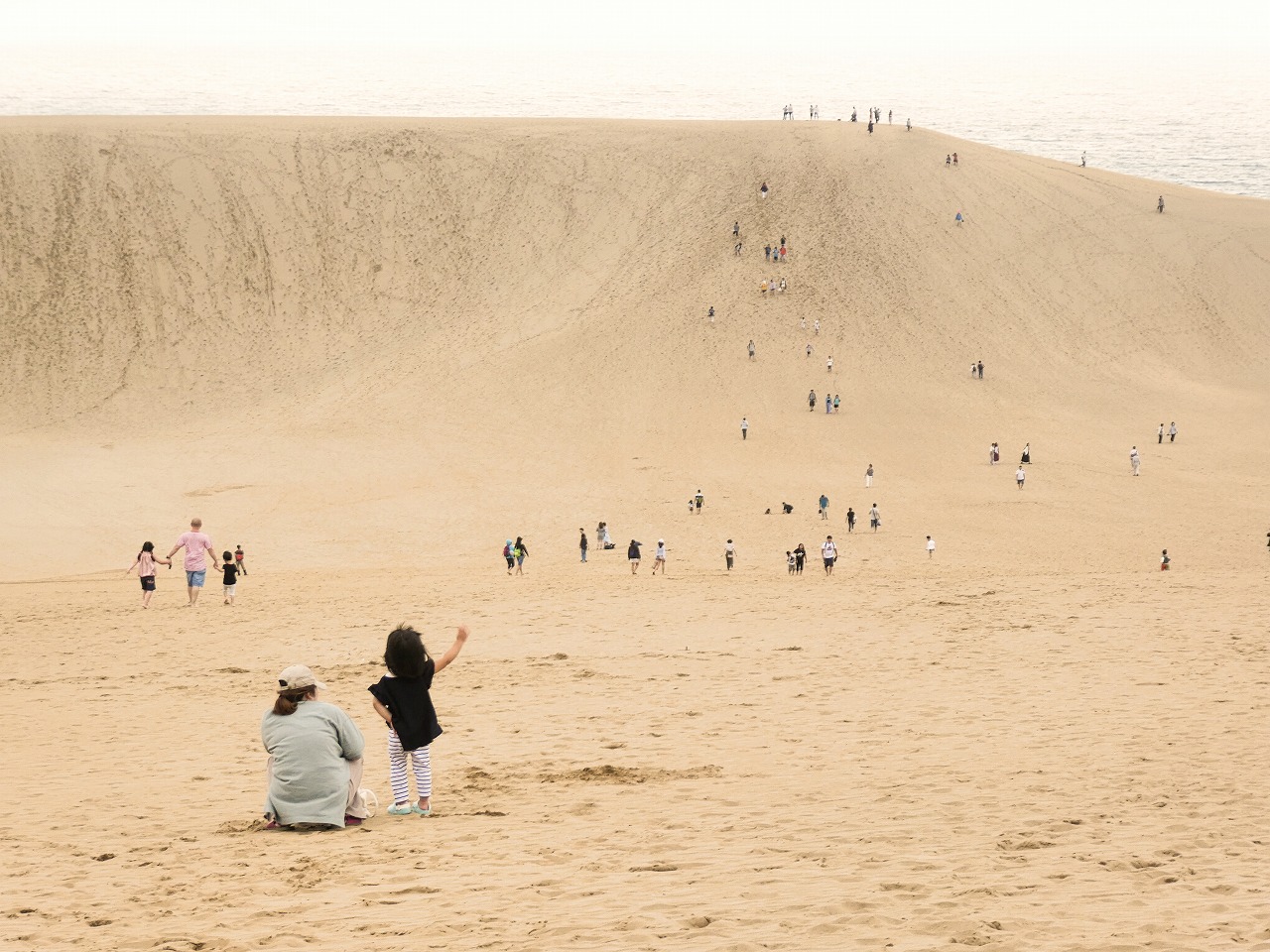 鳥取砂丘 砂が動く 生きてる砂丘が見られる 鳥取旅行 ウィッシュのなんでも探偵団