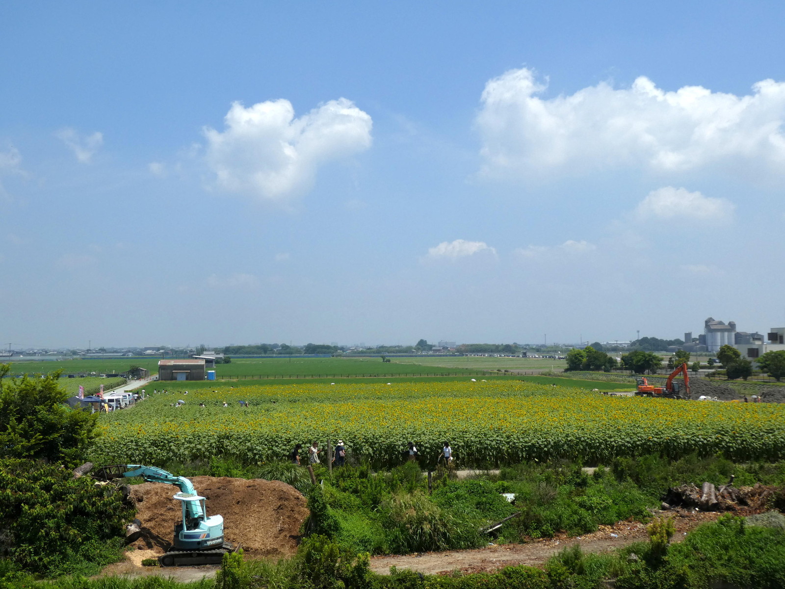 柳川ひまわり園 福岡県柳川市 ウィッシュのなんでも探偵団