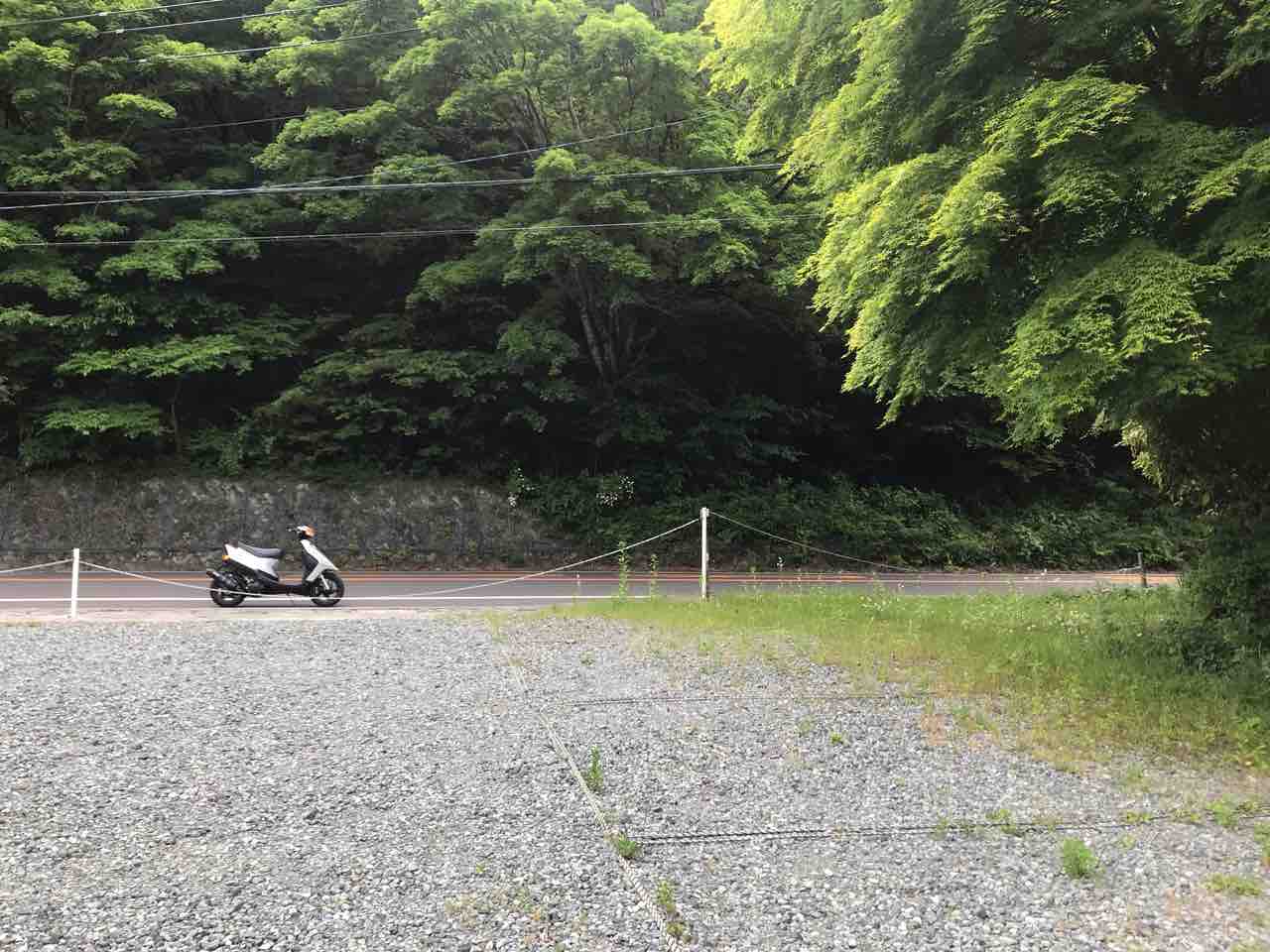 年05月31日 一人と一匹とバイク 年05月31日 一人と一匹とバイク