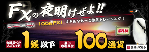 �ޥ͡��ѡ��ȥʡ����Ρ�FXnano��