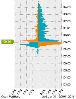 未決済のポジション状況