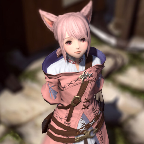 ff3b14b60379dae57da368469df5da2b01f7c916