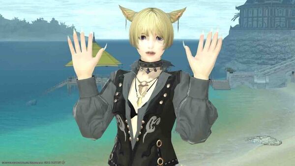 Ff14 Fcでvc始めたんだけど 思ったより女性プレイヤーが多いことにびっくりしたんだが Ff14まとめちゃんねる