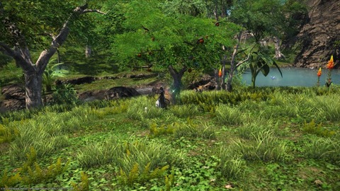 finalfantasyxiv_island_001-min-1024x576
