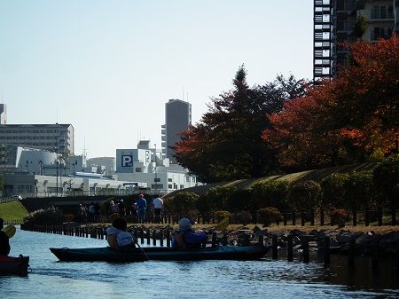 DSCF7529