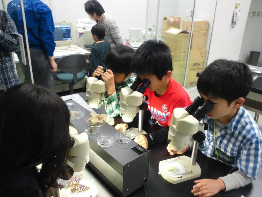 宇宙科学館 : Daishinの部屋