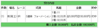 競馬的中馬券
