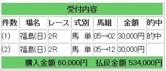 競馬メイン　勝負