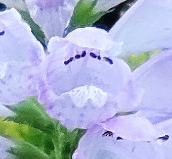 IMG_20200826_175045-1