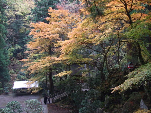 2007_1202¹ä»Ë¾»»Òº§Ìó0103