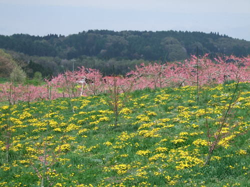 2007_0509¿®½£0122