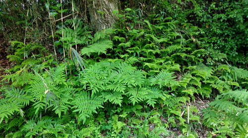 IMG_20200512_153447_BEAUTY