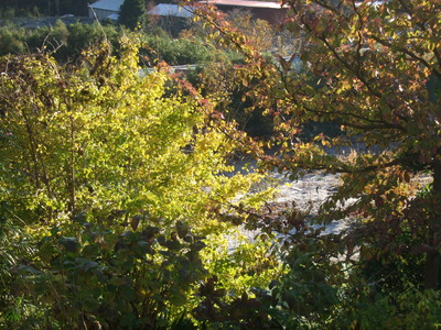 2011_1210�������0001