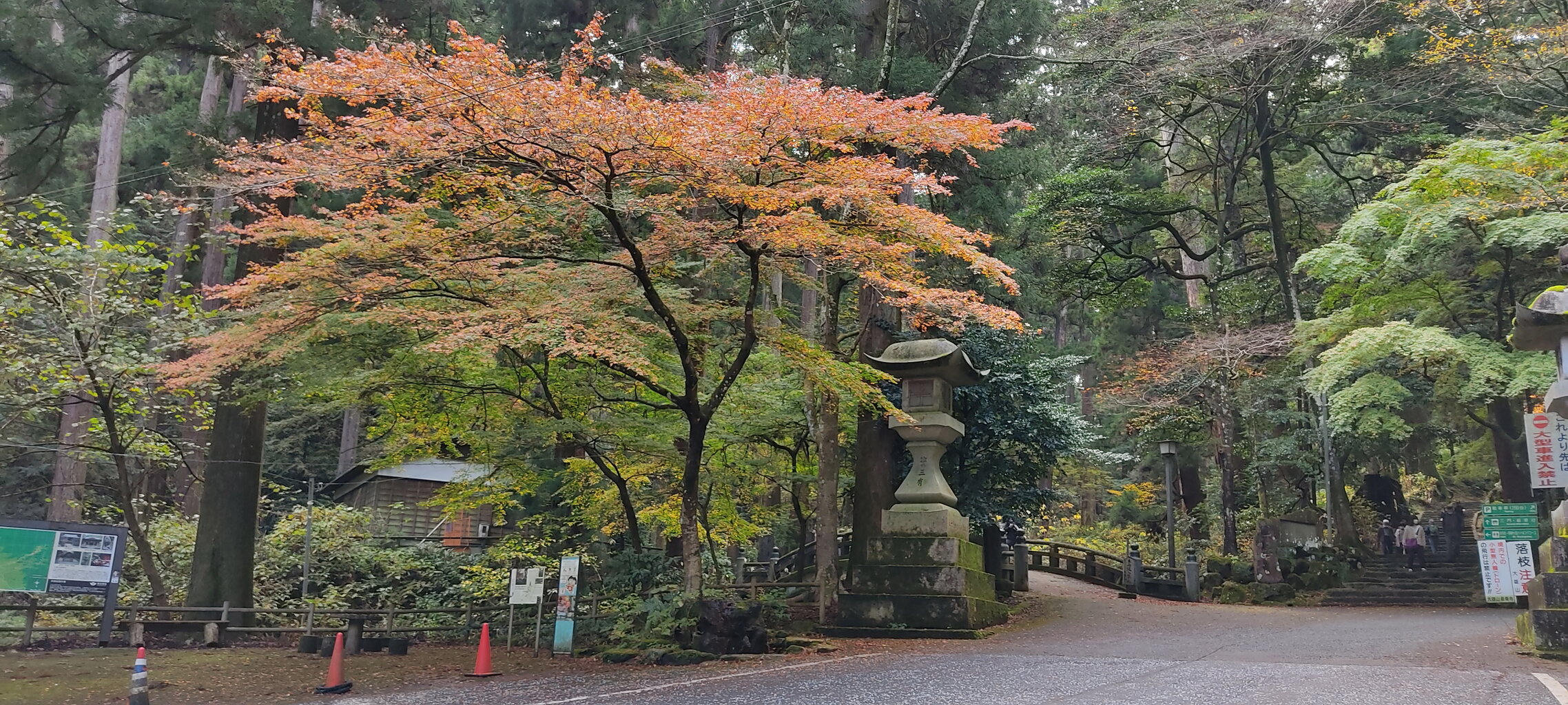 大雄山最乗寺の紅葉 花咲かすおじさん 大雄山最乗寺の紅葉 花咲かすおじさん