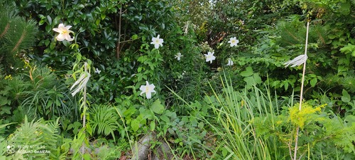 IMG_20200819_172135