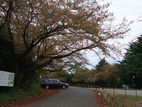 2007_1103¾®Åĸ¶ÈͶ10017