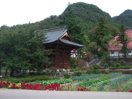 2007_1017��������0263