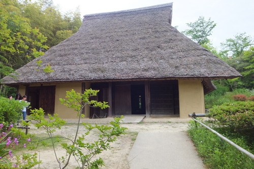 DSCF8266