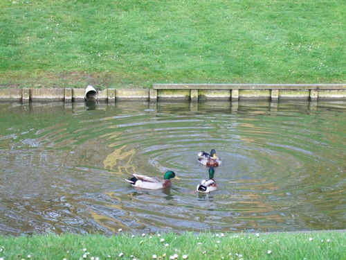2007_0417オランダ0302