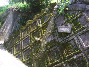 2012_0513河村城0115