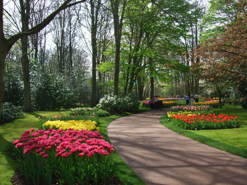 2007_0417オランダ0610