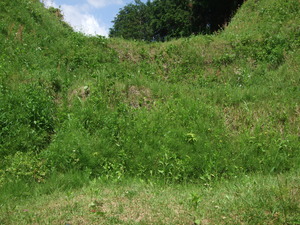 2012_0513河村城0044