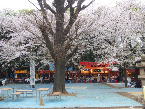 2008_0402H19��0144