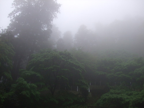 2007_0509¿®½£0034