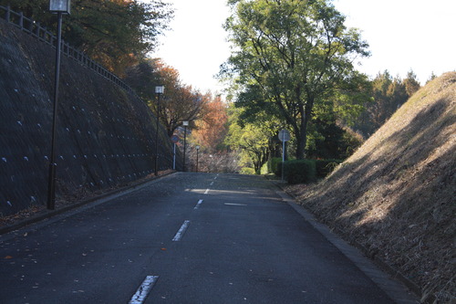 小田原〜板橋 (59)