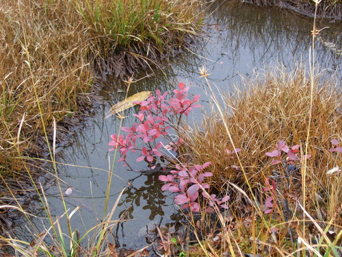 2007_1017��������0153