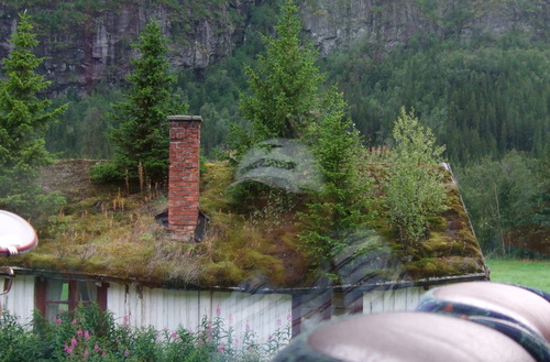 2009_0807北欧FINEPIX0140