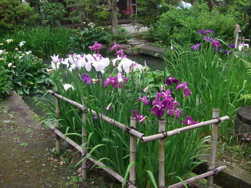 2011_0609³«À®Ä®ÃµË¬0009