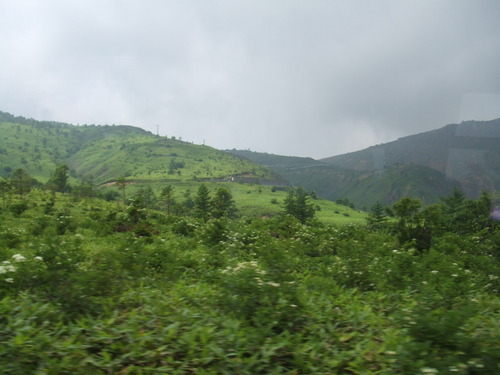 2006_0808�򺬻�0049