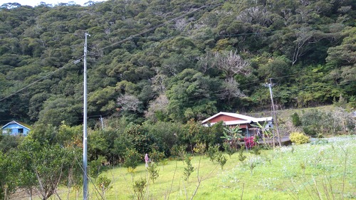 IMG_20240129_133610