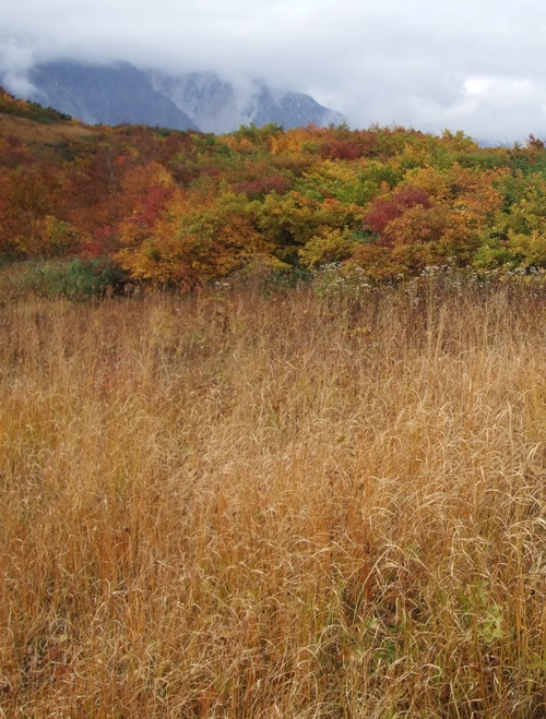 2007_1017��������0053-1