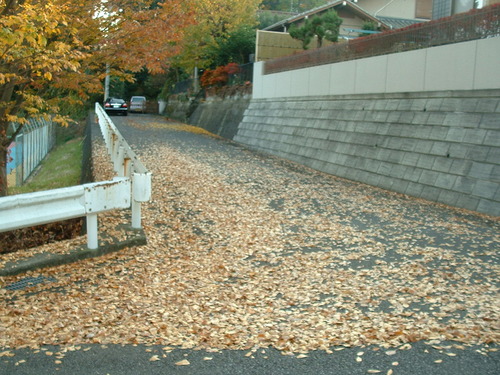 2007_1202Ƴλºµ¢¤êGH0054