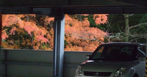 2008_1121gotennba0013