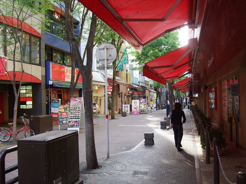 2008_0423熊本0129