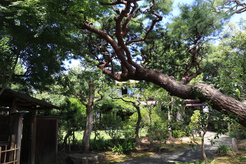 IMG_9570 - ���ԡ�