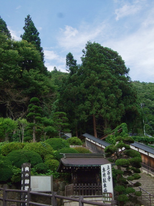 DSCF0589
