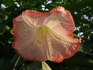 2009_1012�ε�0004