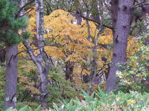 2007_1017��������0232