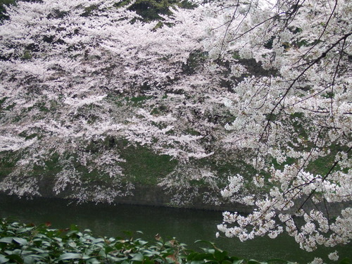 2008_0402H19��0123