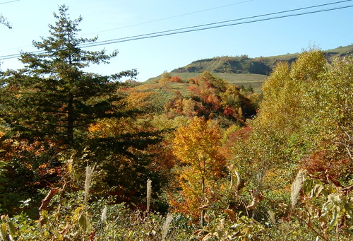 DSCF0012