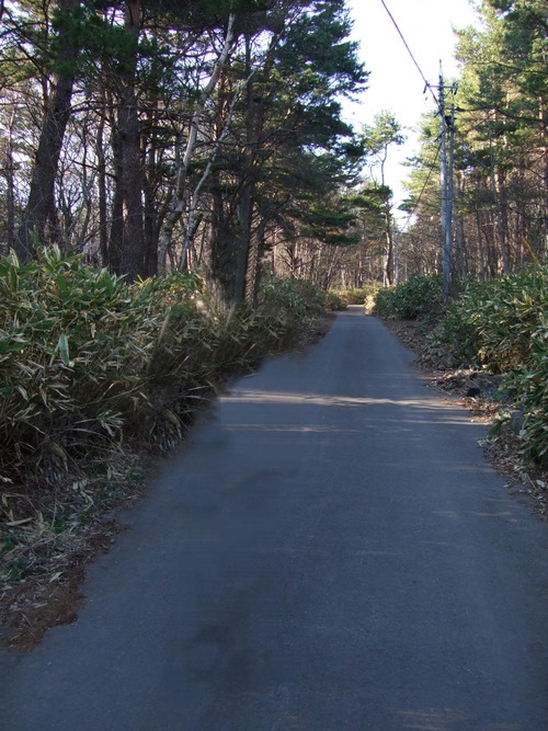 2007_0509¿®½£0156